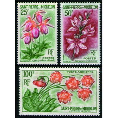 Flores